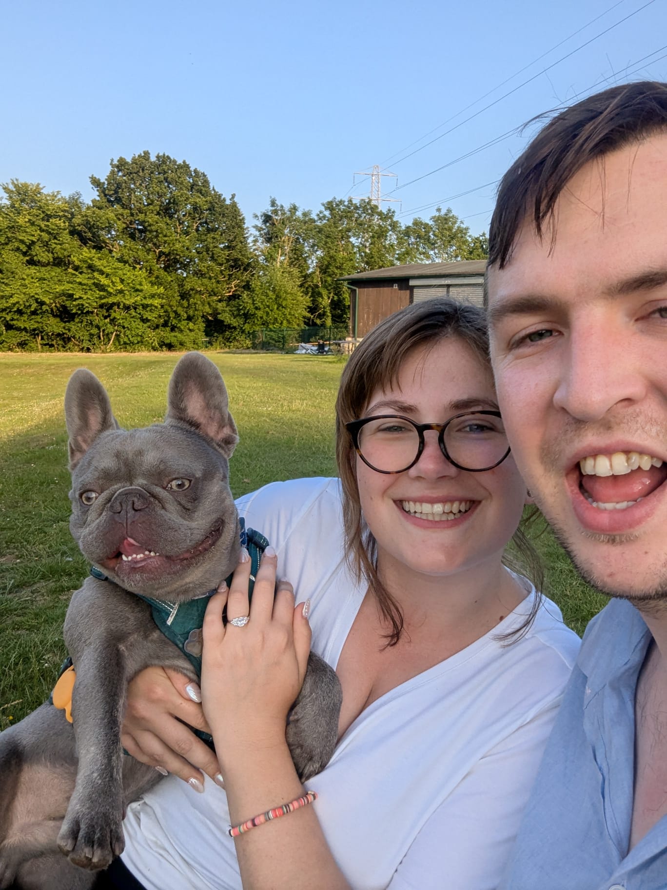 Sasha, Alex, and Meatball in a field