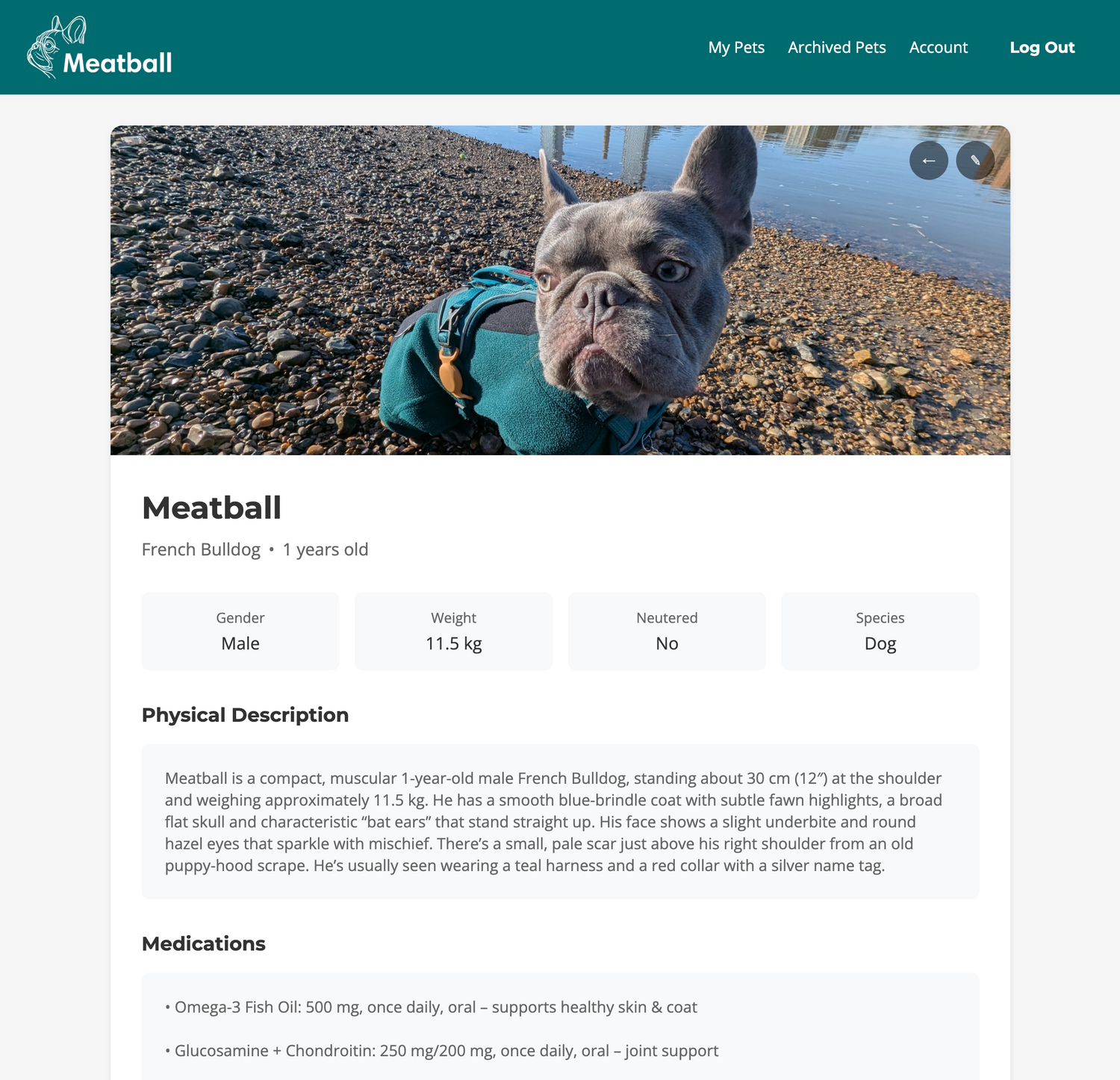 Pet profile page for a French Bulldog named Meatball on a website with a photo of the dog by the thames.