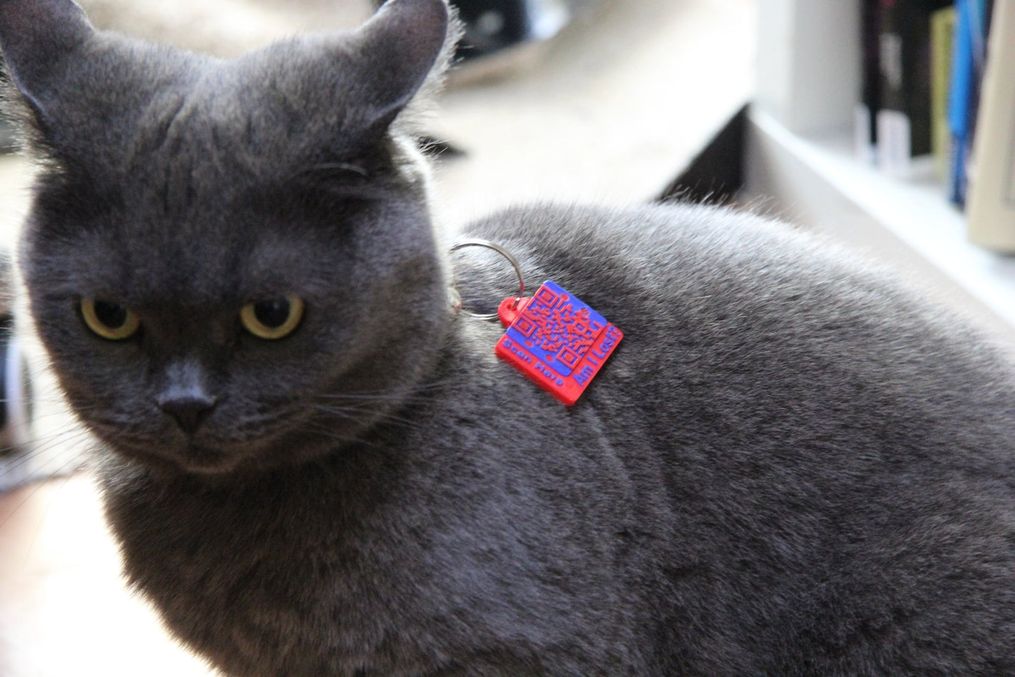 Smart QR Pet Tag - Meatball - QR code dog tag - QR code cat tag - lot pet tag tracker - pet tag tracker - lost pet help - runaway pet tracker - GPS tracker for pet - pet tag