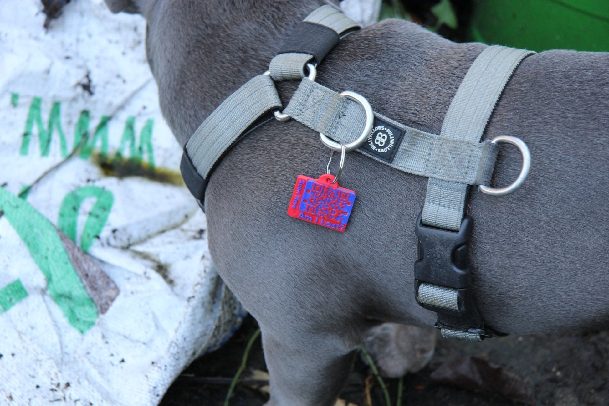 Smart QR Pet Tag - Meatball - QR code dog tag - QR code cat tag - lot pet tag tracker - pet tag tracker - lost pet help - runaway pet tracker - GPS tracker for pet - pet tag