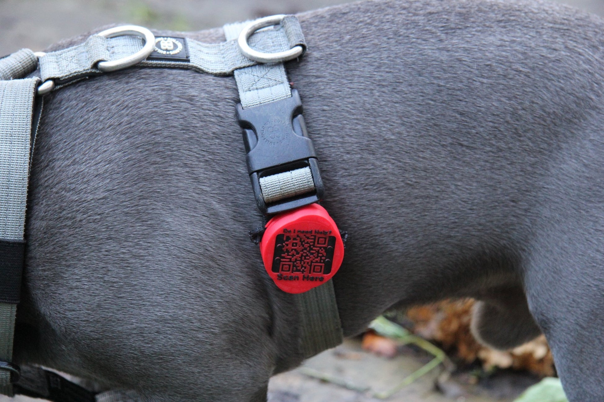 Waterproof AirTag Holder - Meatball - QR code dog tag - QR code cat tag - lot pet tag tracker - pet tag tracker - lost pet help - runaway pet tracker - GPS tracker for pet - pet tag