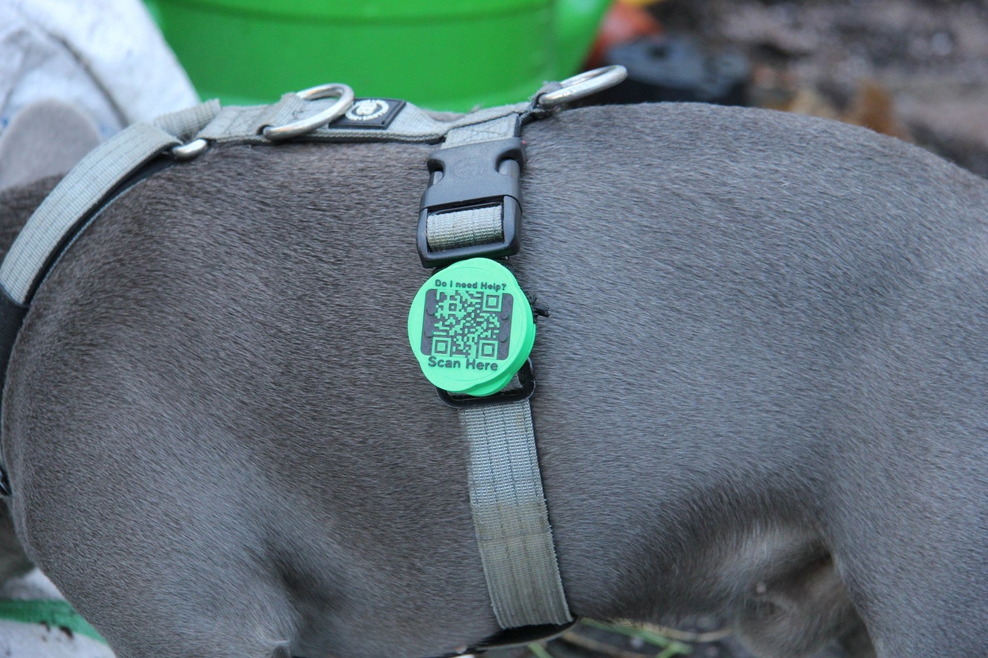 Waterproof AirTag Holder - Meatball - QR code dog tag - QR code cat tag - lot pet tag tracker - pet tag tracker - lost pet help - runaway pet tracker - GPS tracker for pet - pet tag