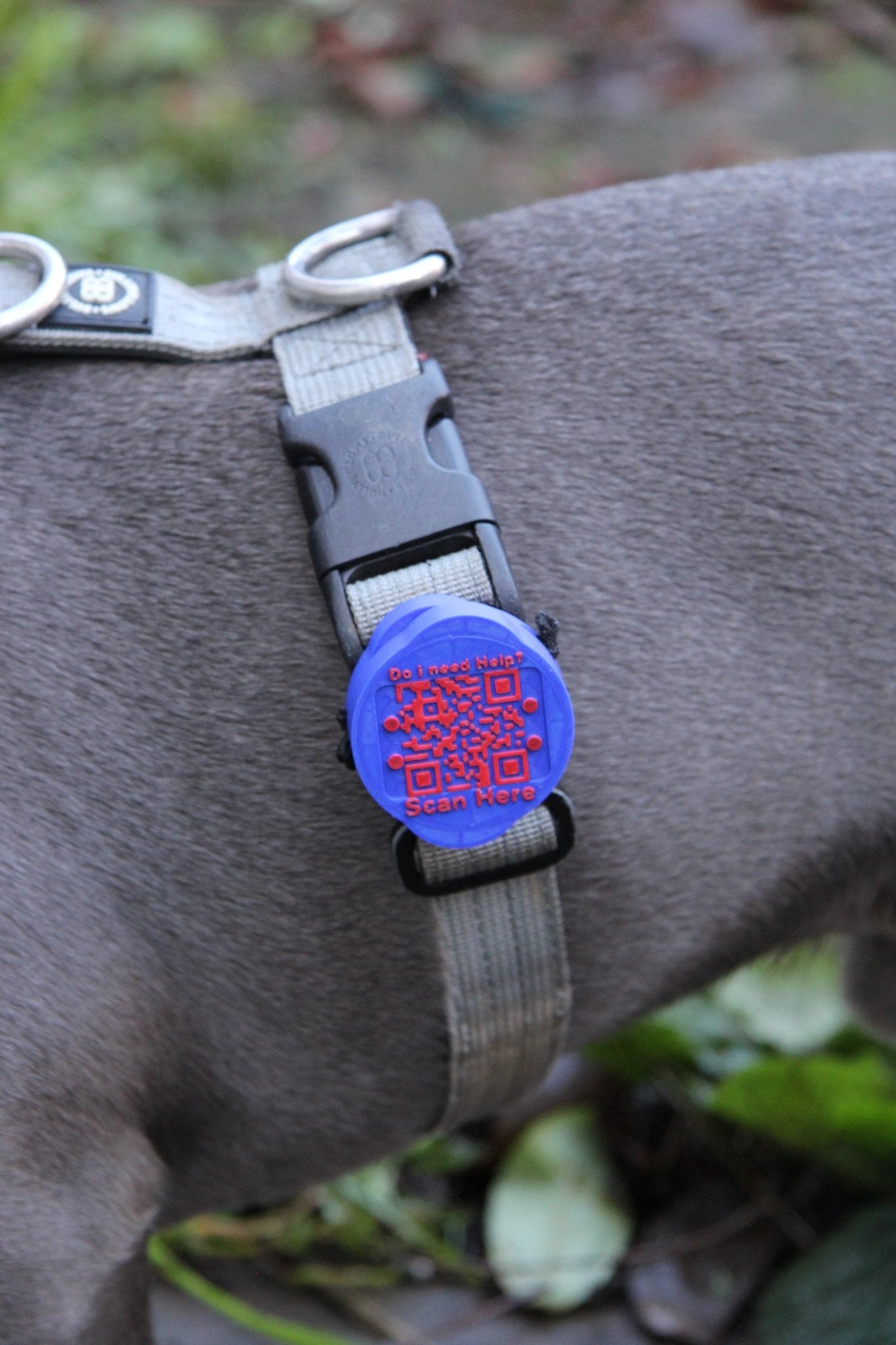 Waterproof AirTag Holder - Meatball - QR code dog tag - QR code cat tag - lot pet tag tracker - pet tag tracker - lost pet help - runaway pet tracker - GPS tracker for pet - pet tag