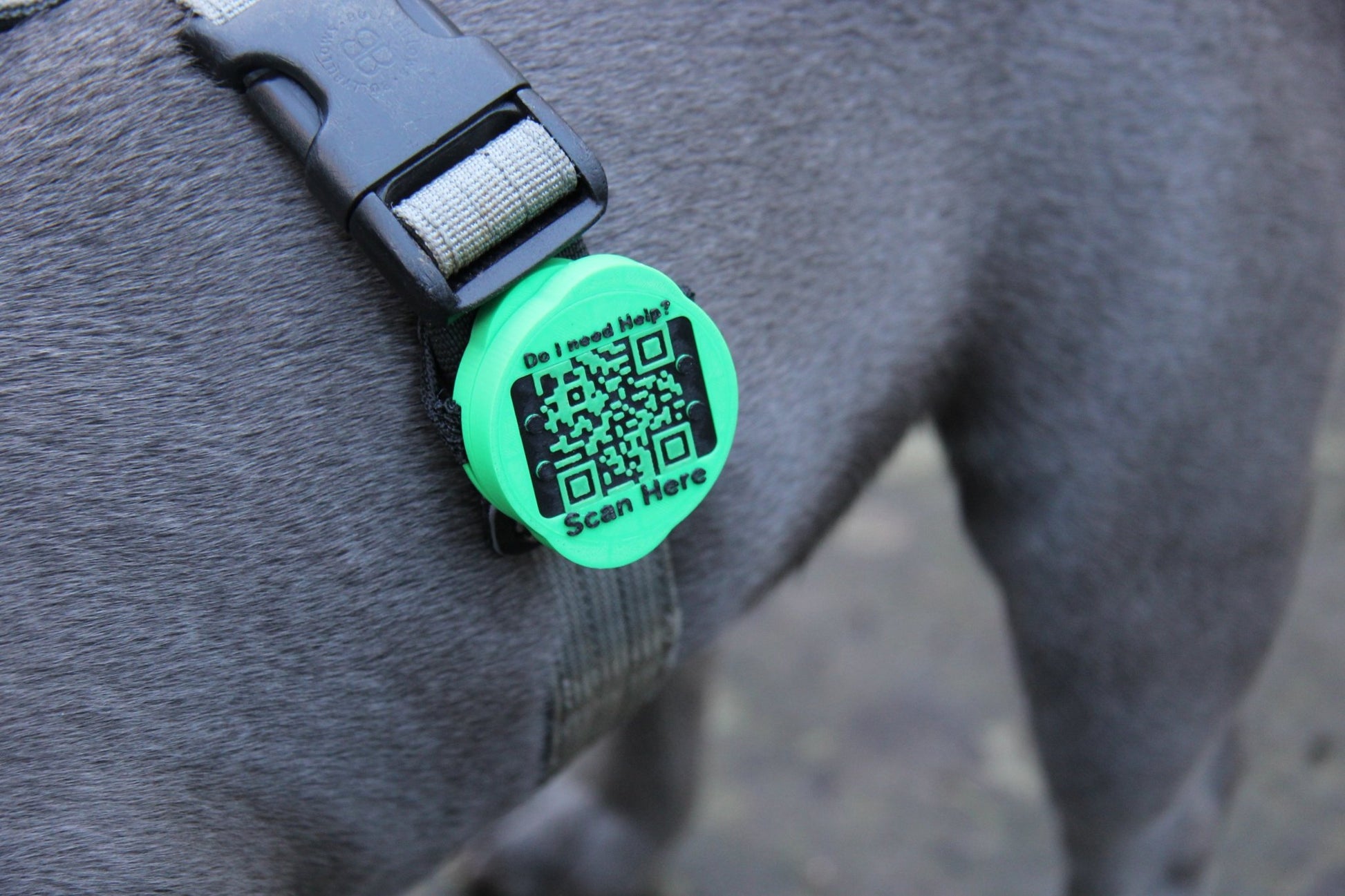 Waterproof AirTag Holder - Meatball - QR code dog tag - QR code cat tag - lot pet tag tracker - pet tag tracker - lost pet help - runaway pet tracker - GPS tracker for pet - pet tag