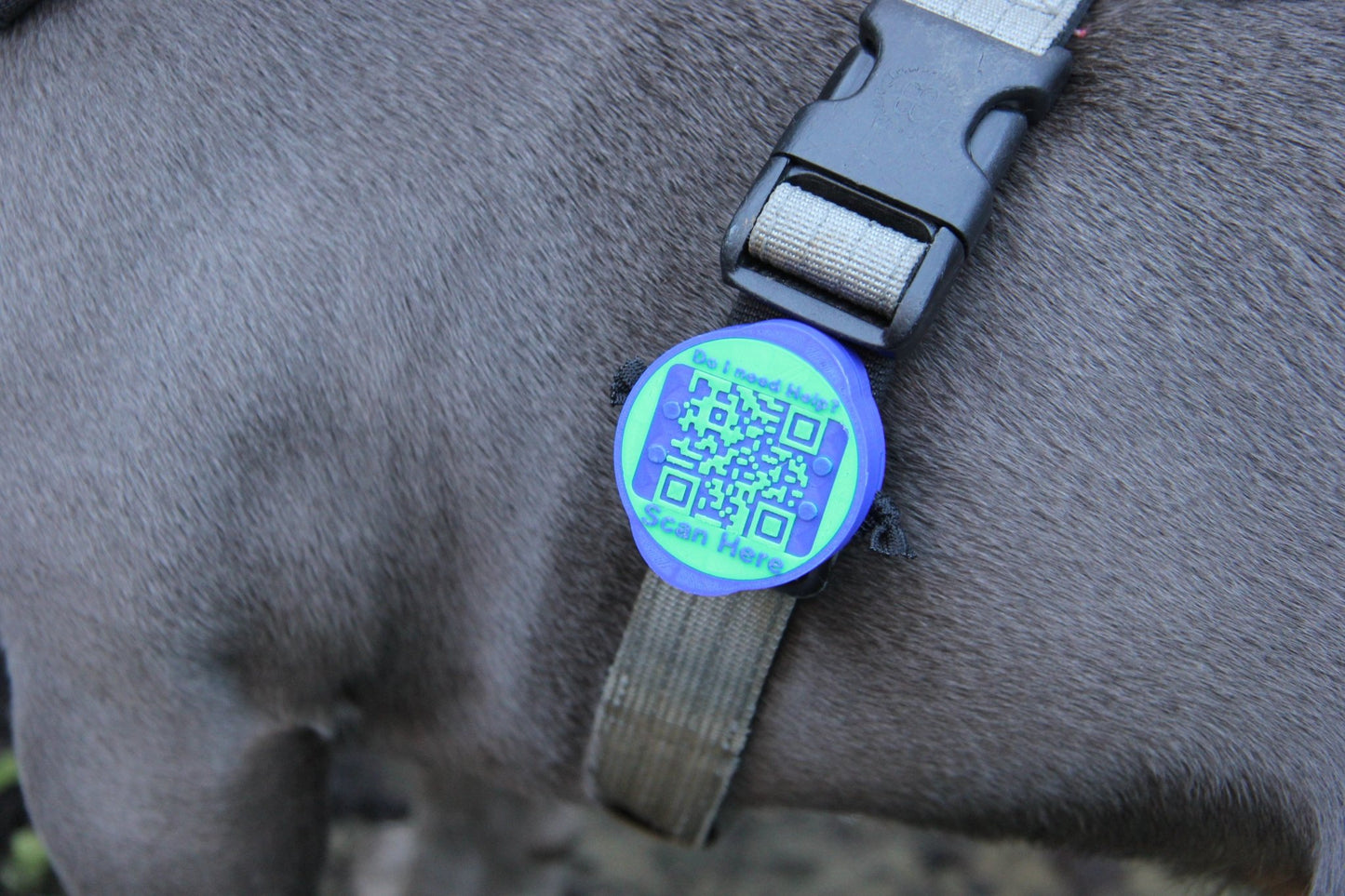Waterproof AirTag Holder - Meatball - QR code dog tag - QR code cat tag - lot pet tag tracker - pet tag tracker - lost pet help - runaway pet tracker - GPS tracker for pet - pet tag