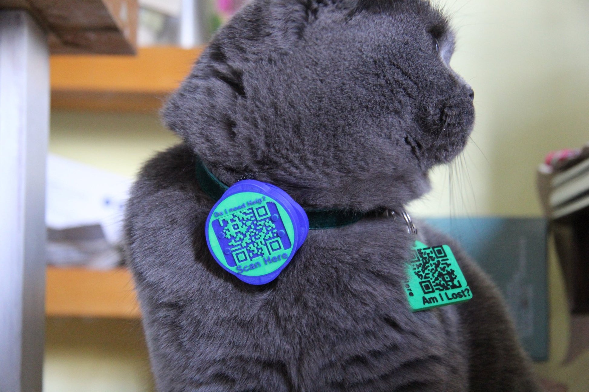 Waterproof AirTag Holder - Meatball - QR code dog tag - QR code cat tag - lot pet tag tracker - pet tag tracker - lost pet help - runaway pet tracker - GPS tracker for pet - pet tag