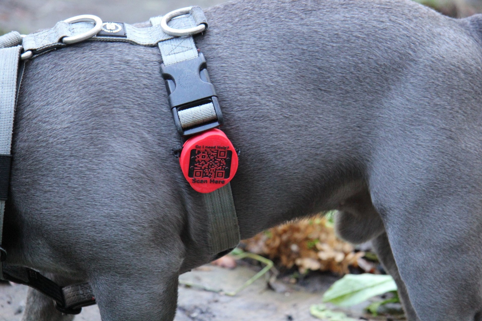 Waterproof AirTag Holder - Meatball - QR code dog tag - QR code cat tag - lot pet tag tracker - pet tag tracker - lost pet help - runaway pet tracker - GPS tracker for pet - pet tag