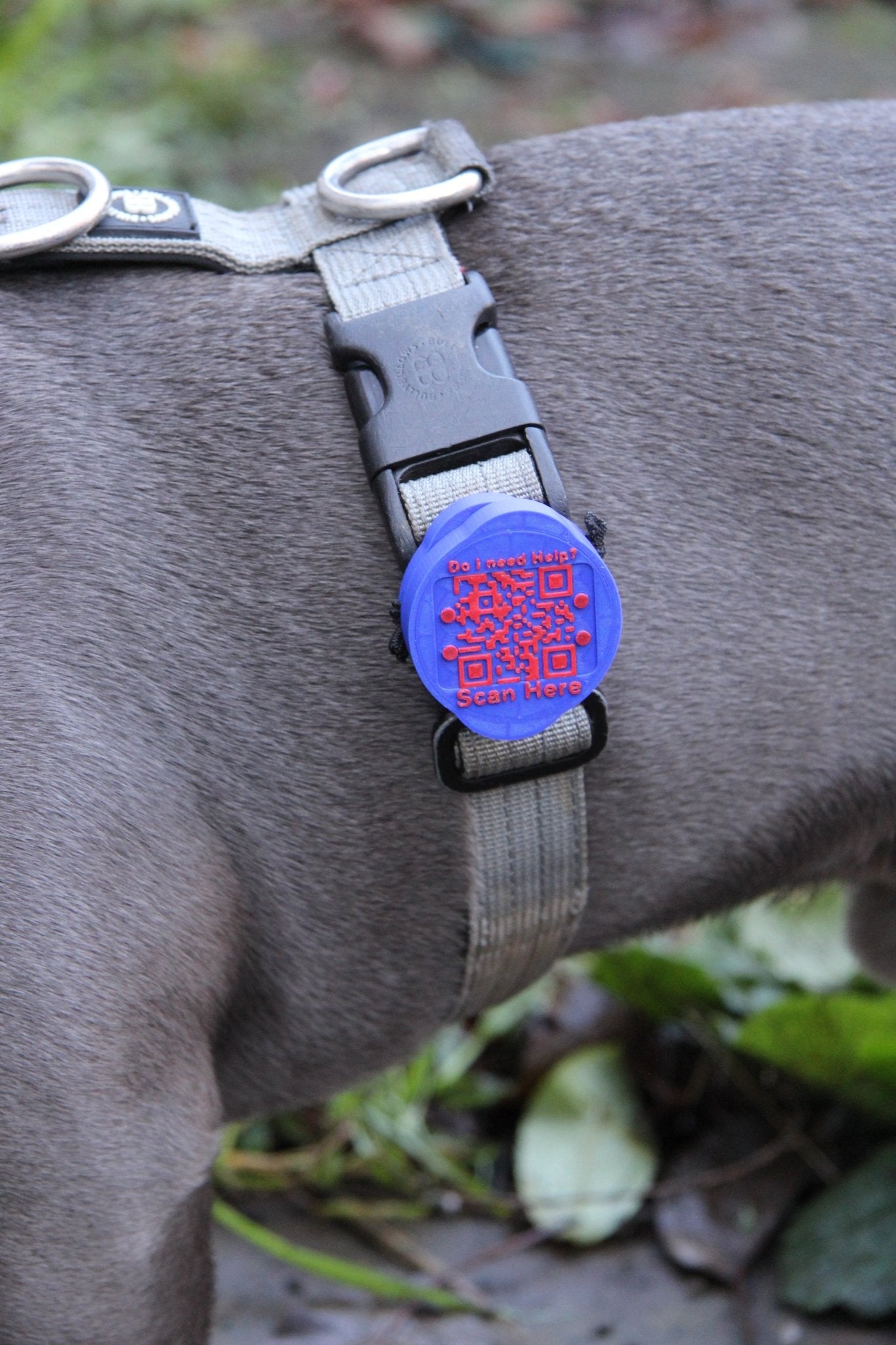 Waterproof AirTag Holder - Meatball - QR code dog tag - QR code cat tag - lot pet tag tracker - pet tag tracker - lost pet help - runaway pet tracker - GPS tracker for pet - pet tag