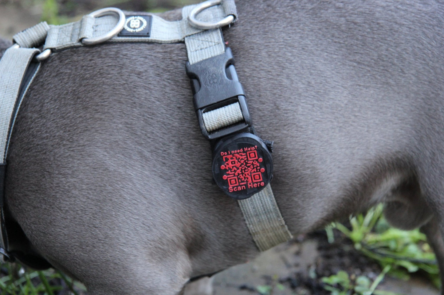 Waterproof AirTag Holder - Meatball - QR code dog tag - QR code cat tag - lot pet tag tracker - pet tag tracker - lost pet help - runaway pet tracker - GPS tracker for pet - pet tag